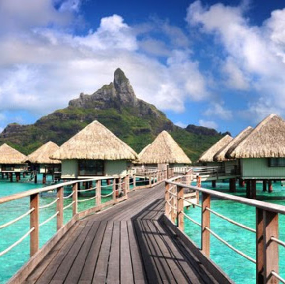 Meet your Posher, Sophia - Picture 1 of 1